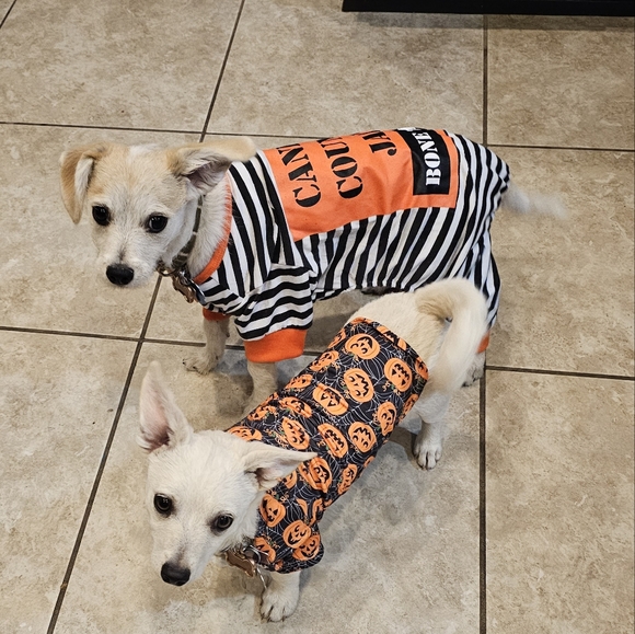 Kin - Picture 2 of 4